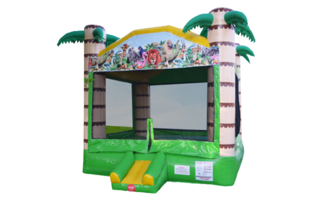 bounce house with water slide in Buffalo